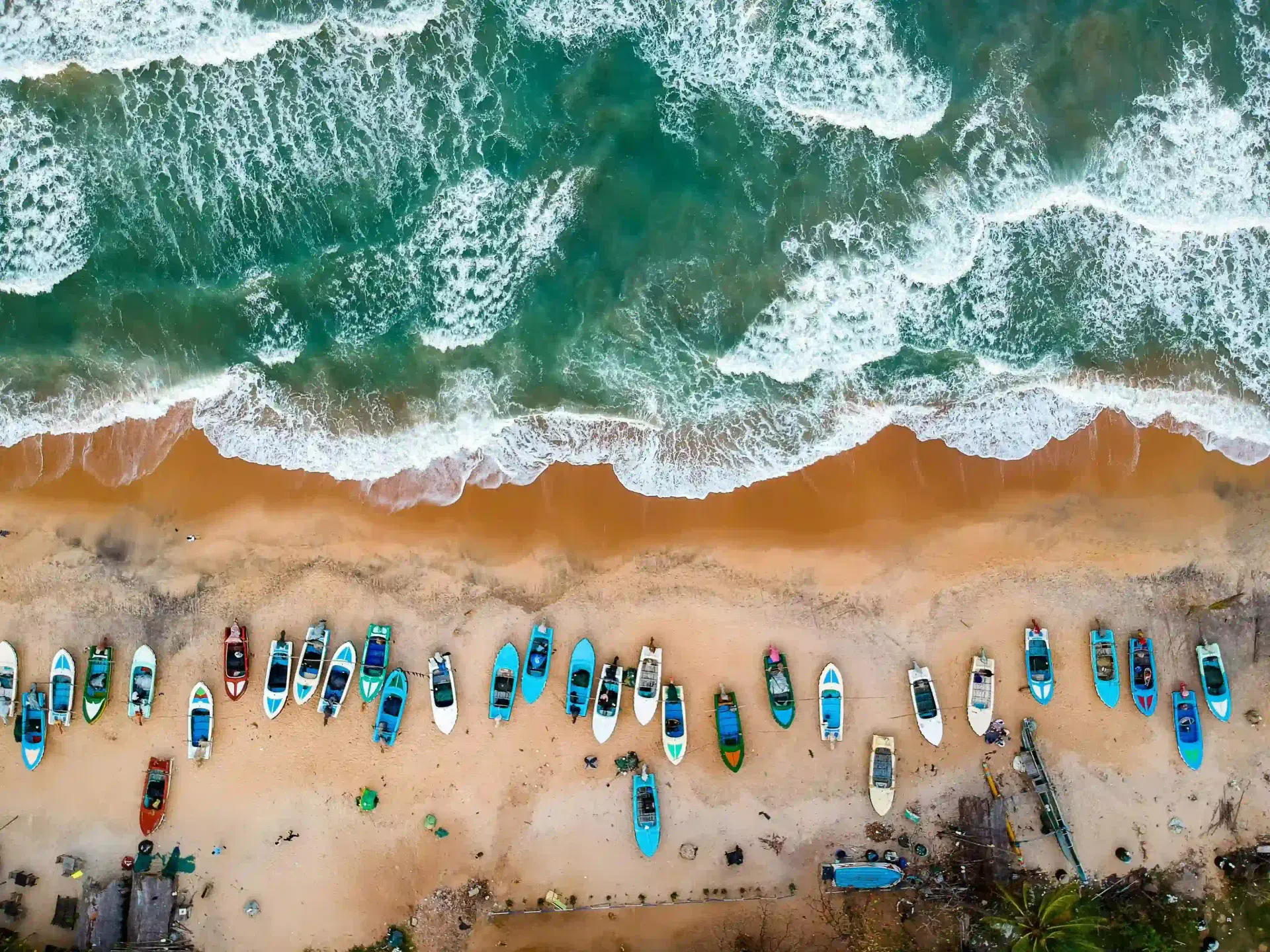 Arugam Bay Surf & Chill Experience