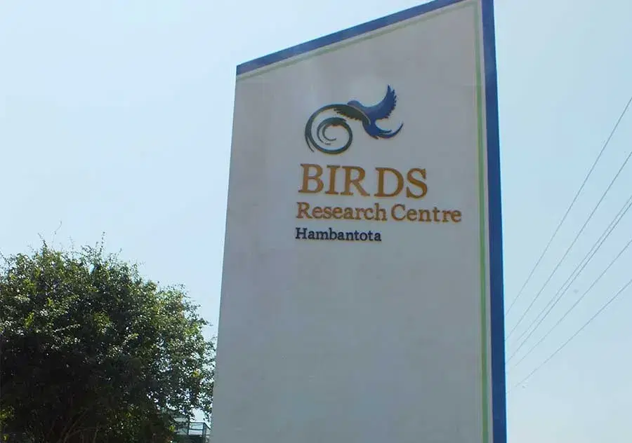 Birds Research Centre, Hambantota