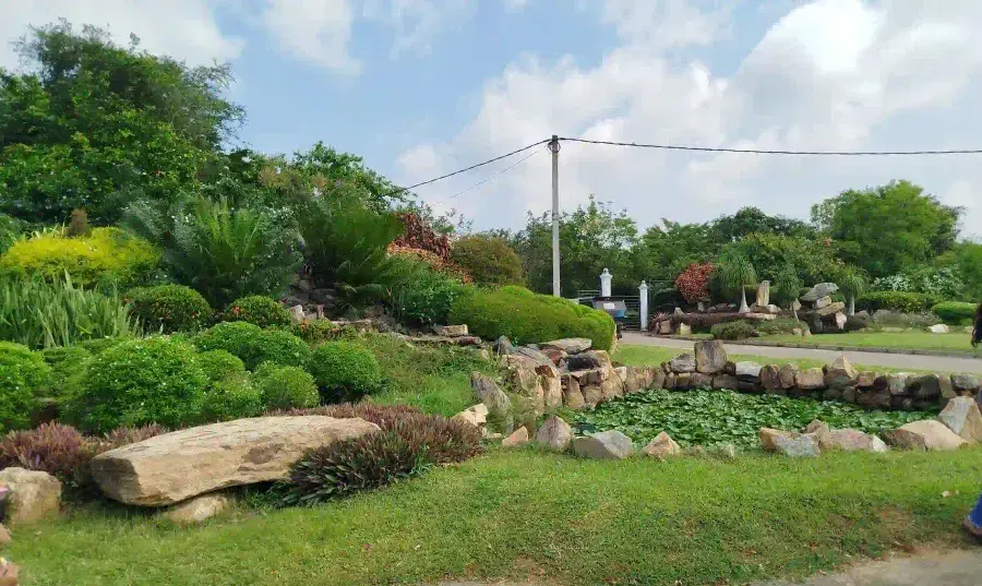 Lily Pond and Rockery