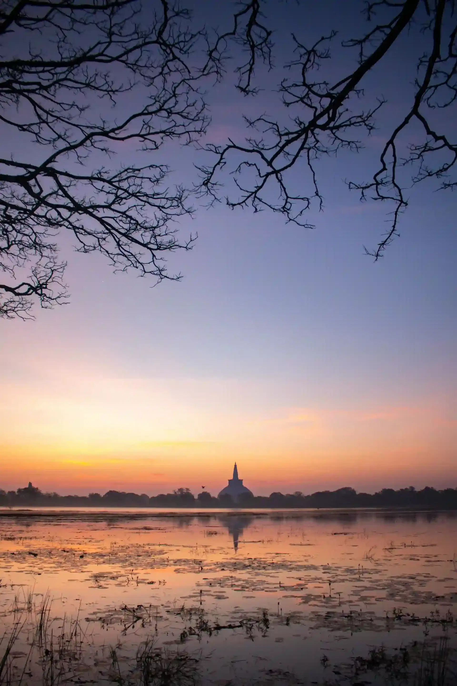 Jaya Sri Maha Bodhi
