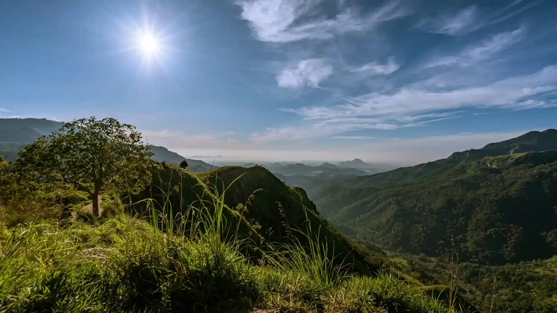 Ella Highlands Viewpoint