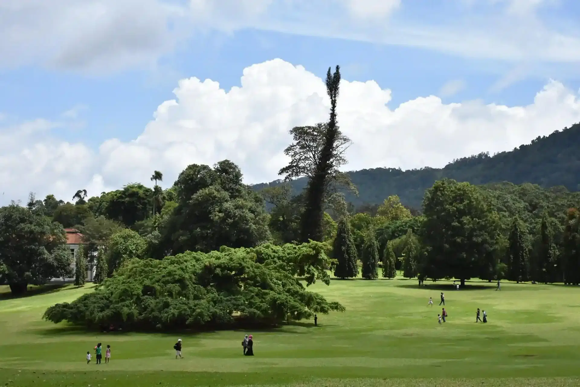 Peradeniya Botanical Gardens