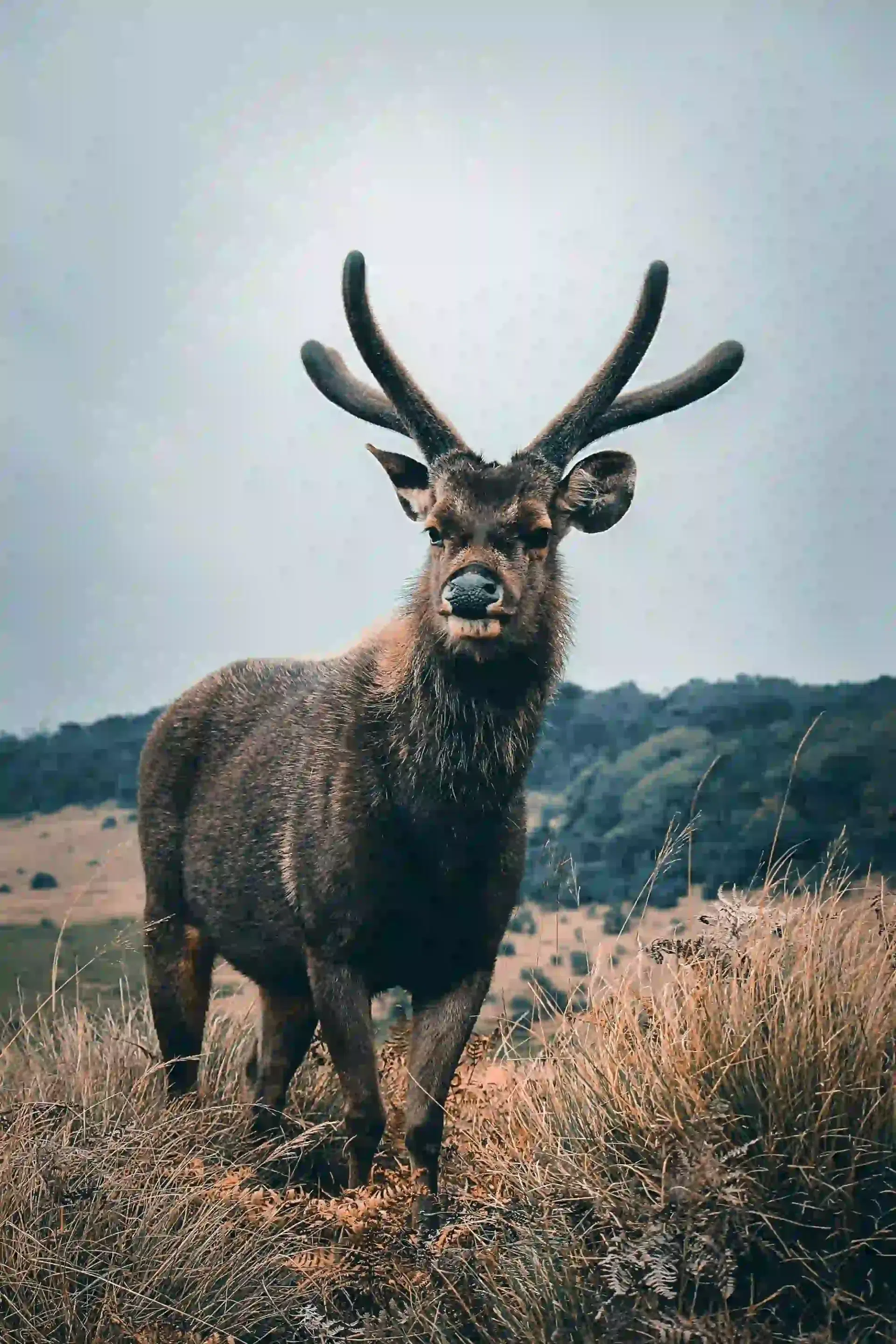 Horton Plains National Park