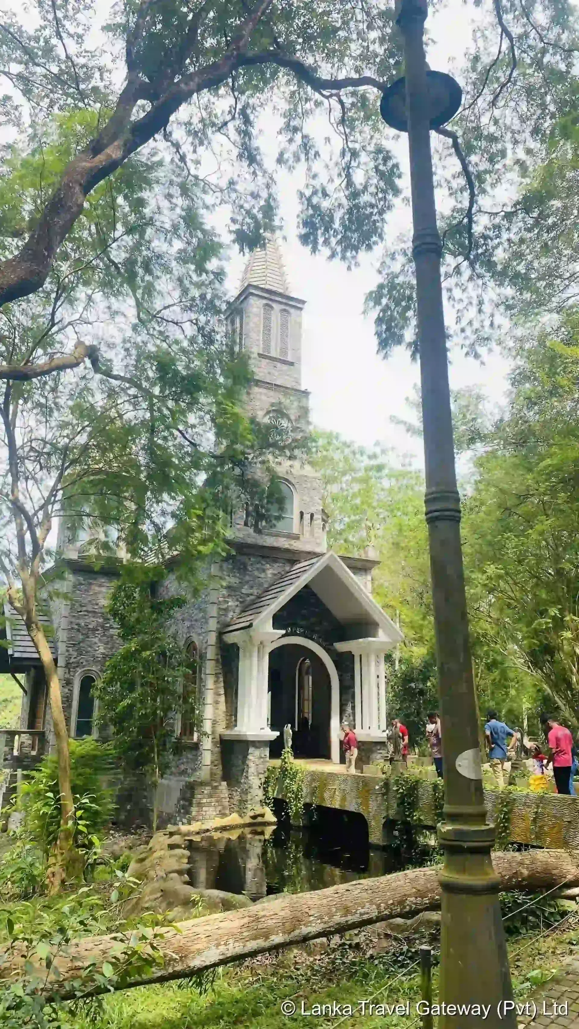 Chapel of Our Lady of Lourdes – Forest View