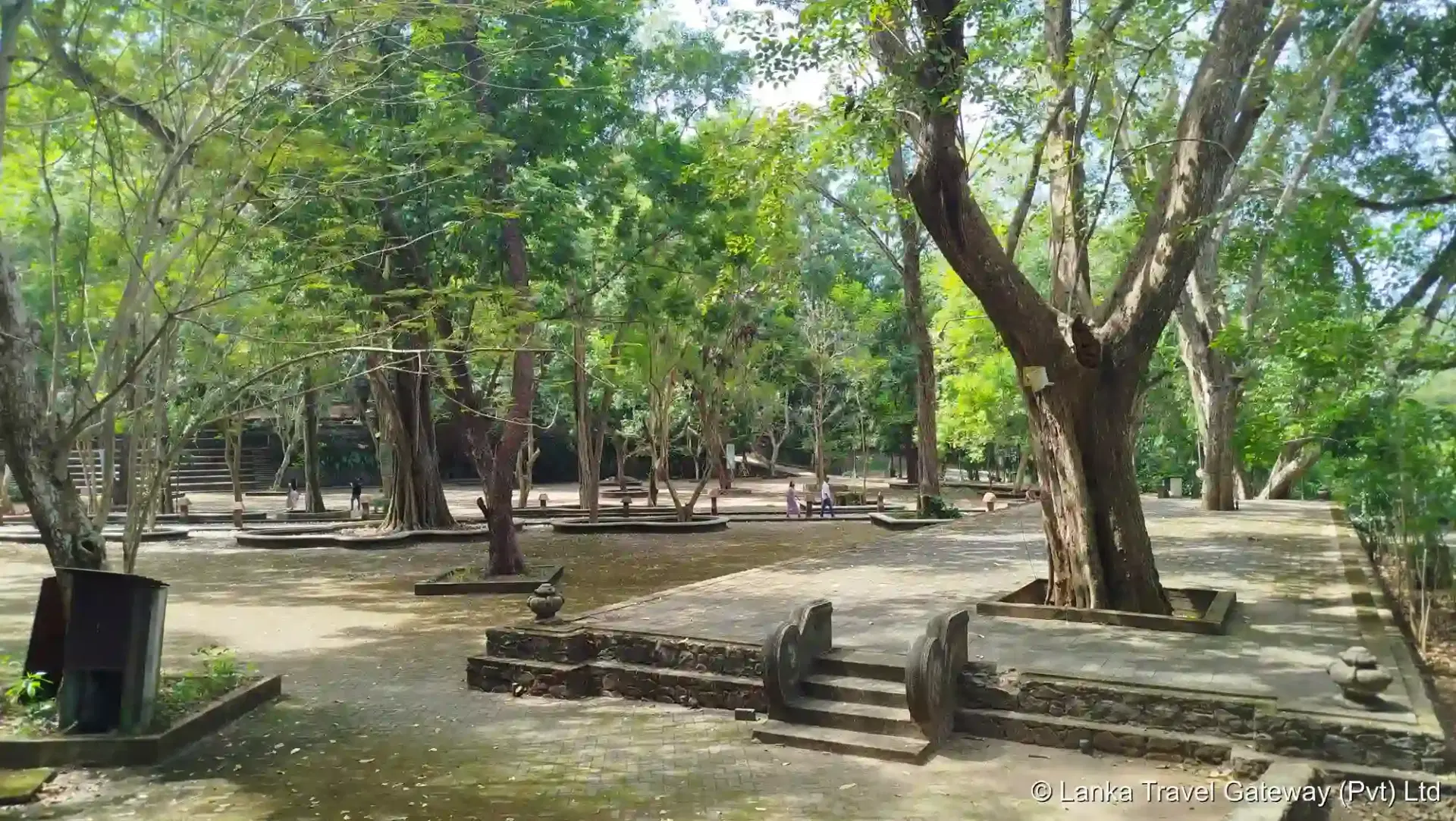 Pilgrimage Walkways at Tewatta