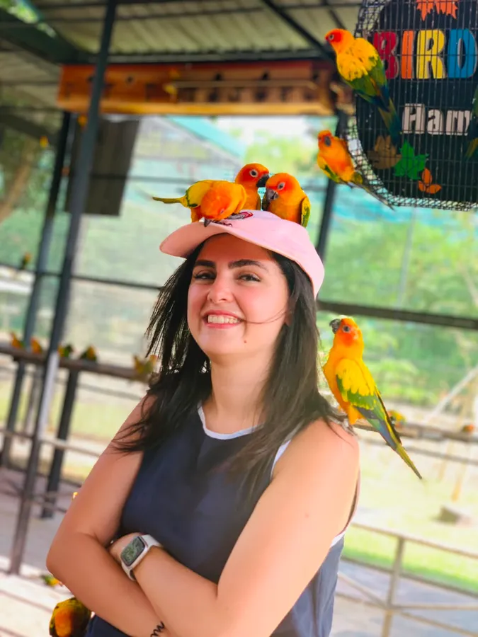 Sun conures perched on a visitor's cap and shoulder at Hambantota Birds Park, Sri Lanka