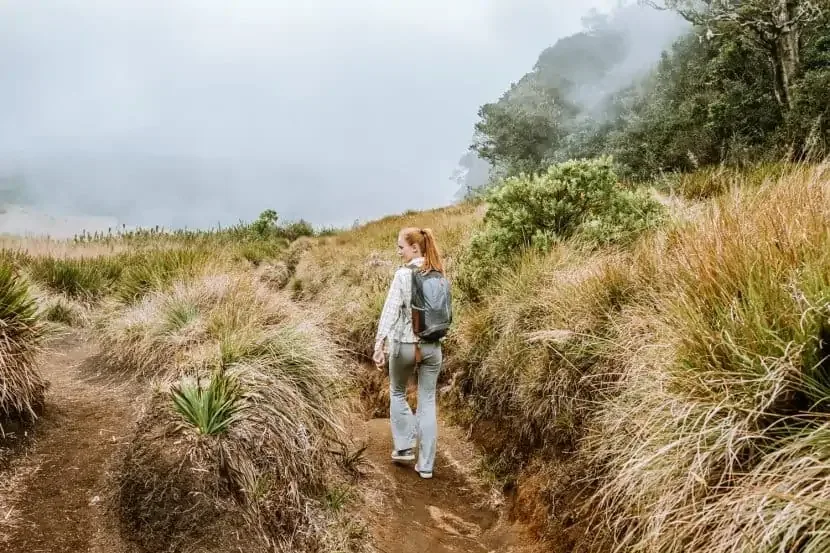 Walker on a misty montane grassland trail in Sri Lanka's central highlands near Horton Plains