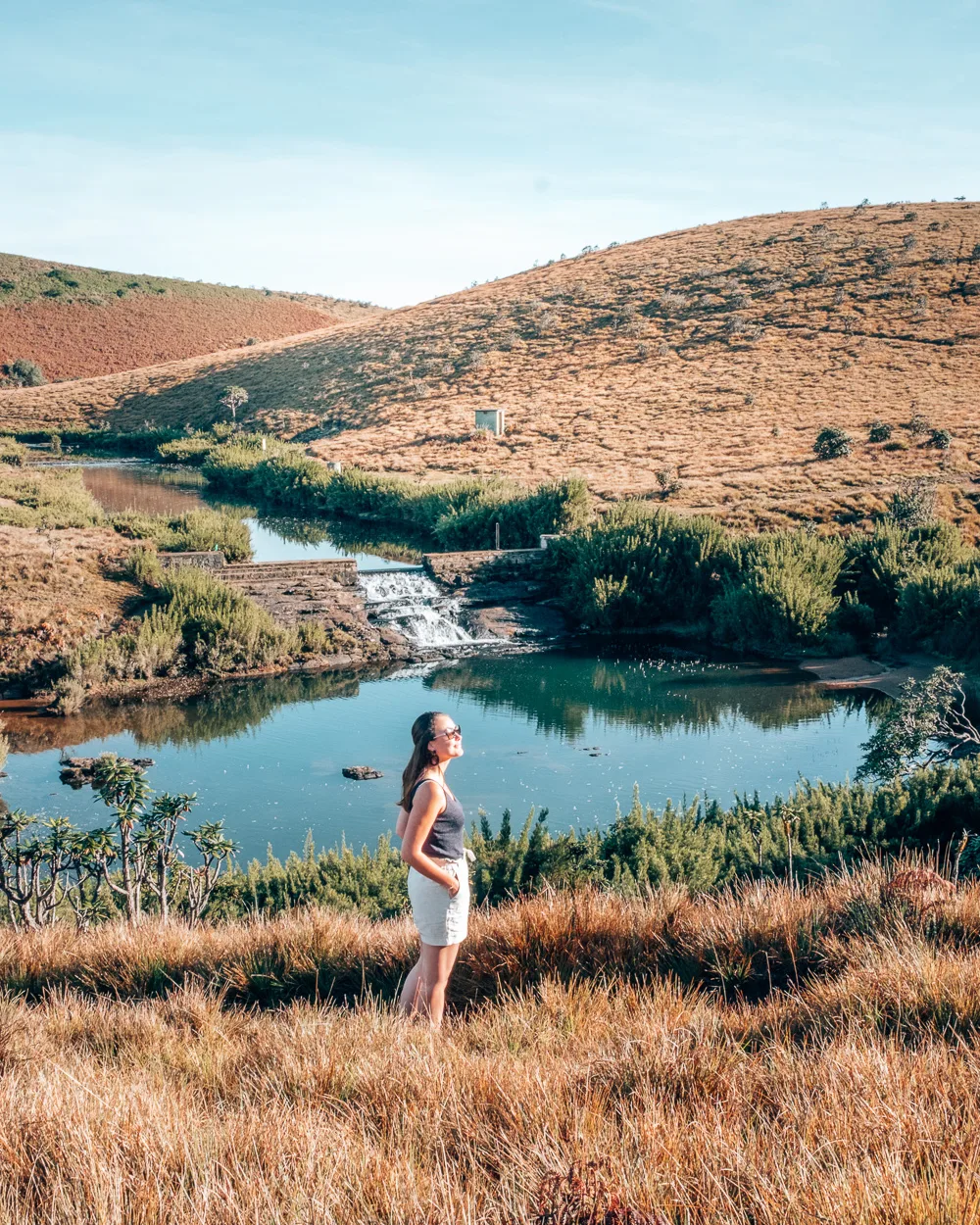 Golden patana grassland meeting a quiet highland stream and weir in Horton Plains National Park