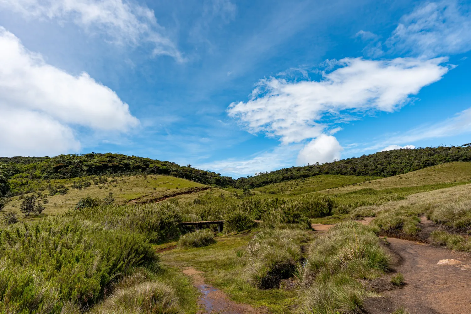 A shallow stream and footbridge crossing a broad grassland valley in Horton Plains National Park under a blue sky