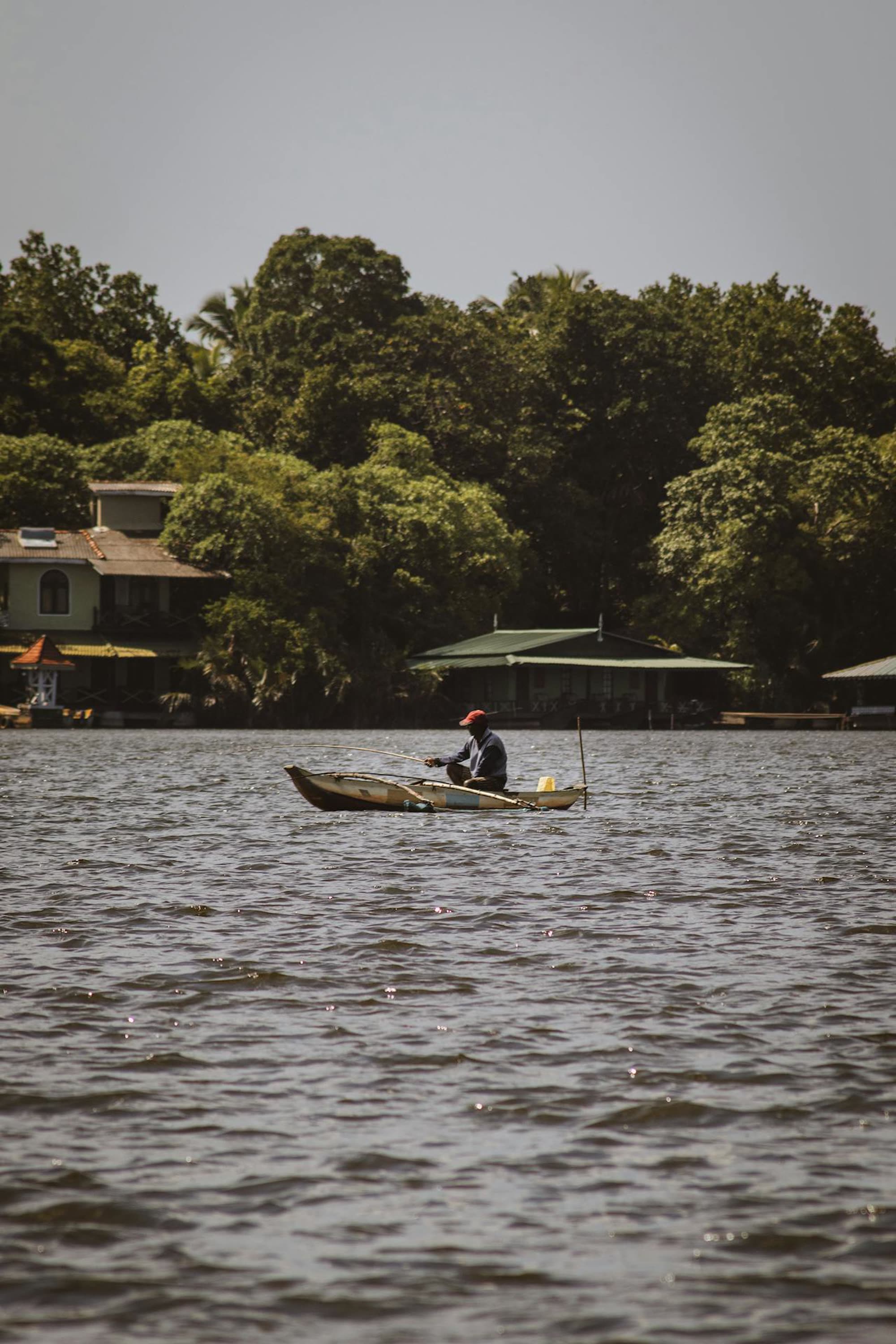Bentota River Mangroves