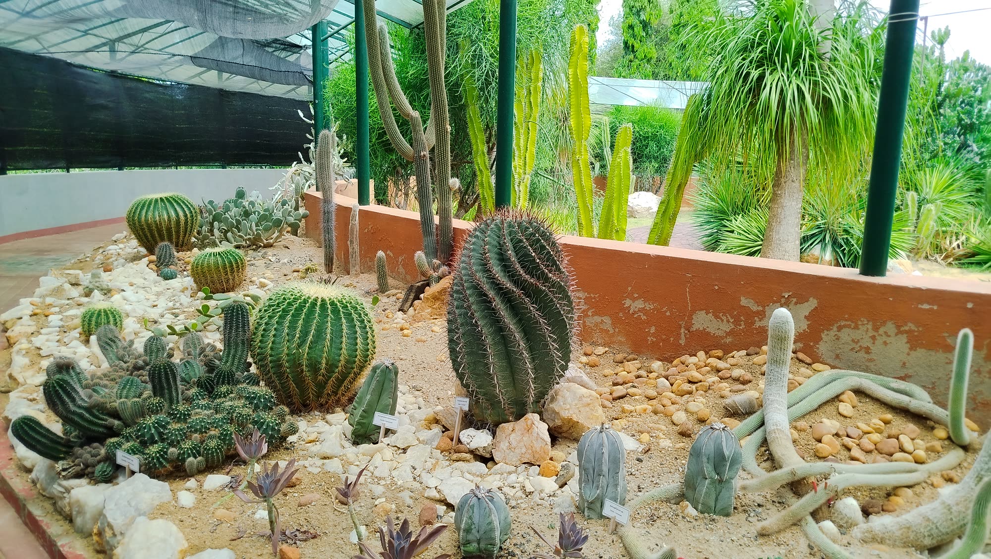 Cactus & Succulent Conservatory
