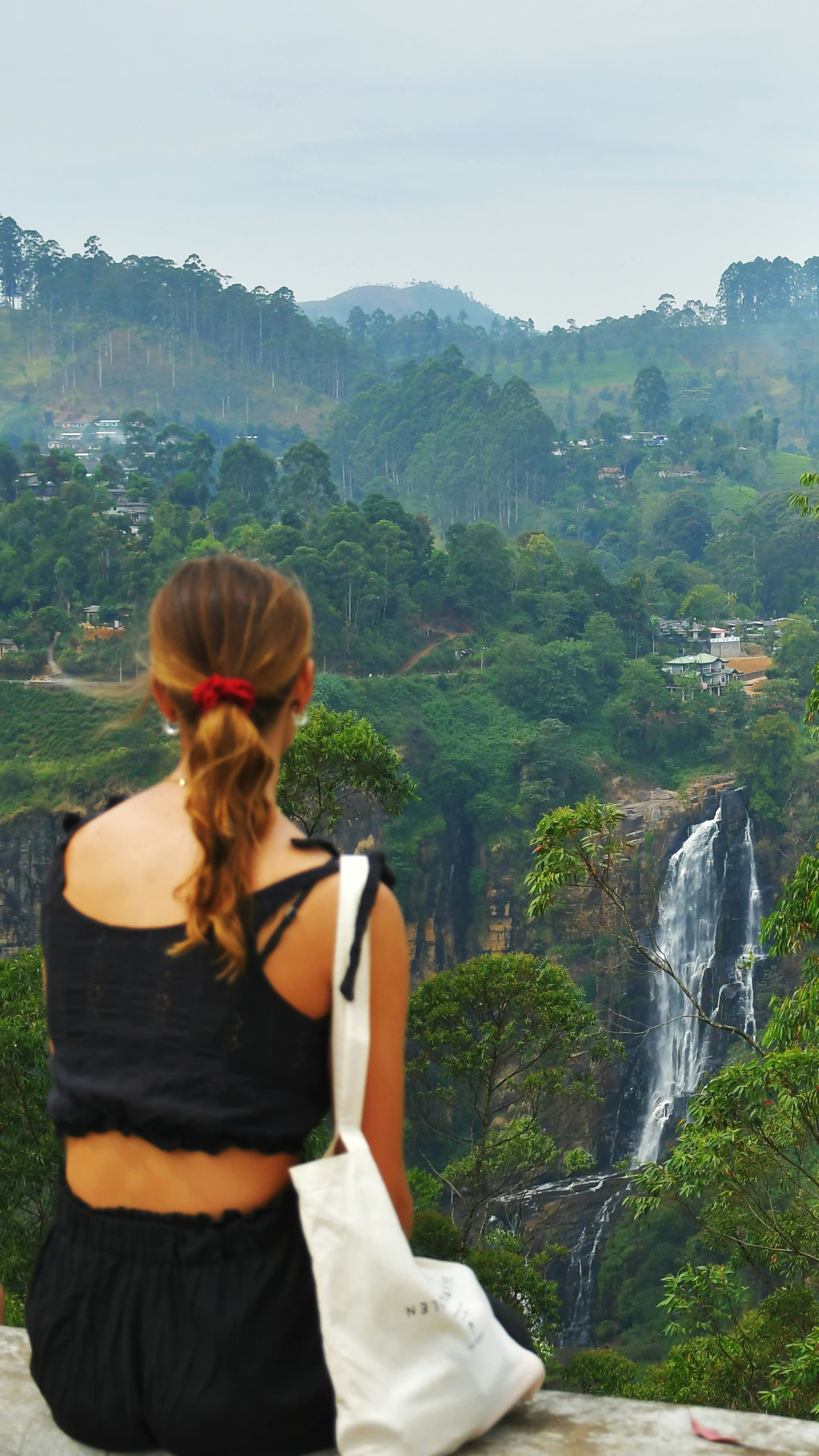 Viewpoint Over Devon Falls