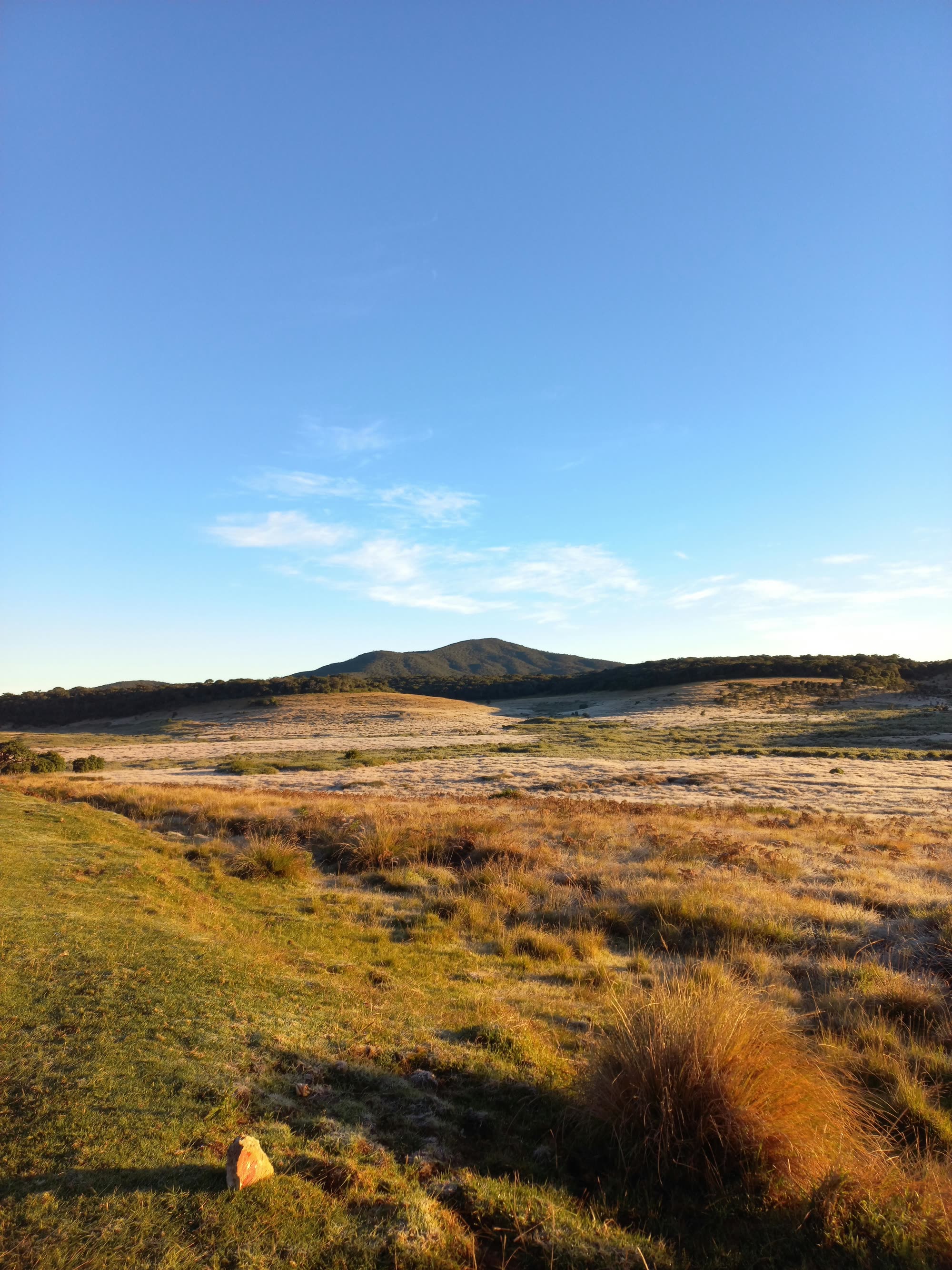 Golden Plains of Horton Plains National Park