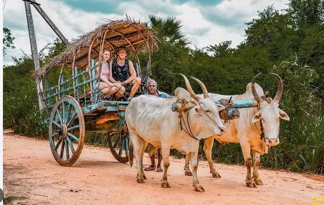Sigiriya Village Walk and Bullock Cart Ride