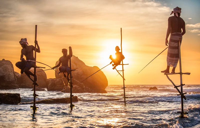 Traditional Stilt Fishermen Unawatuna