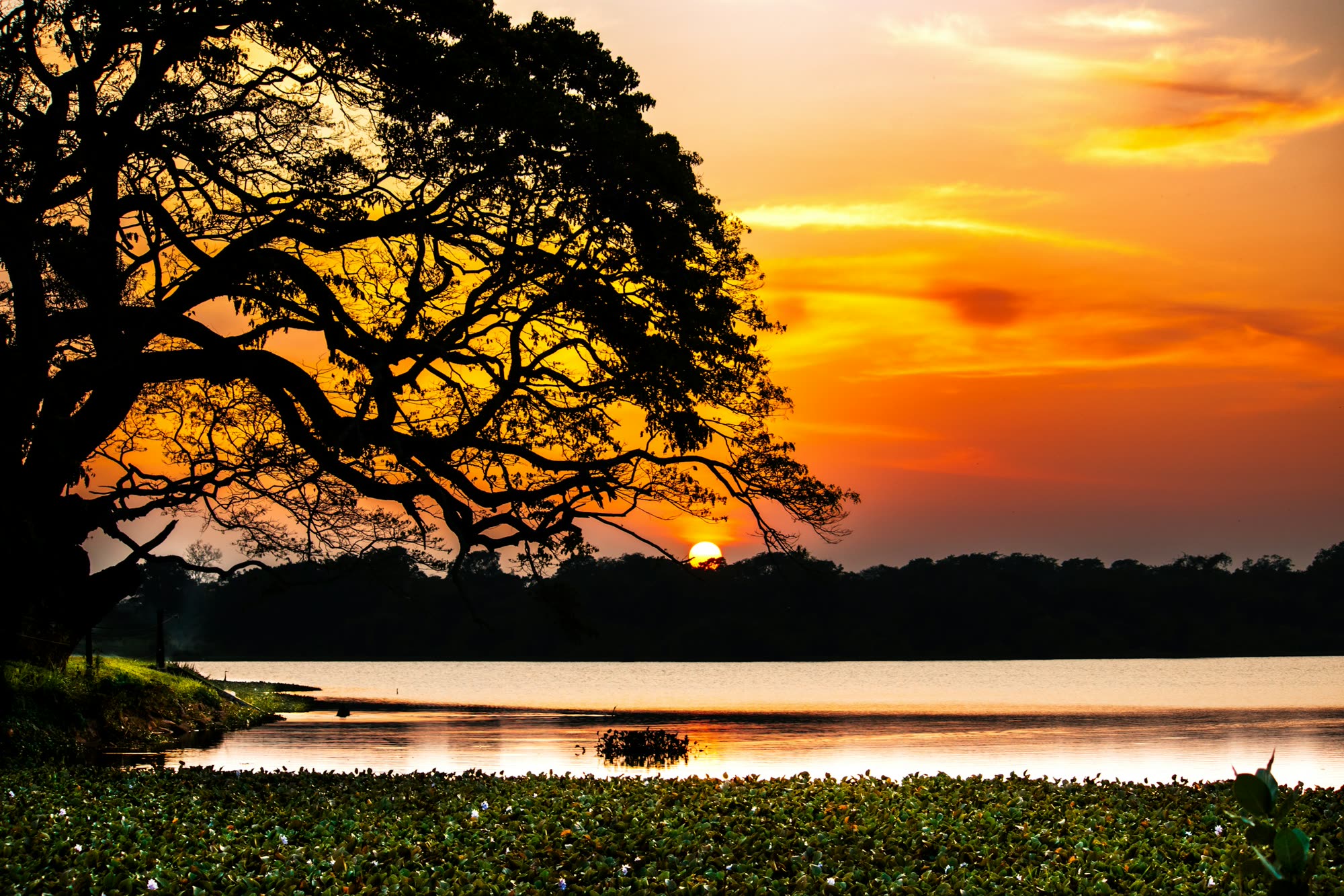 Sunset over Wilpattu Lake