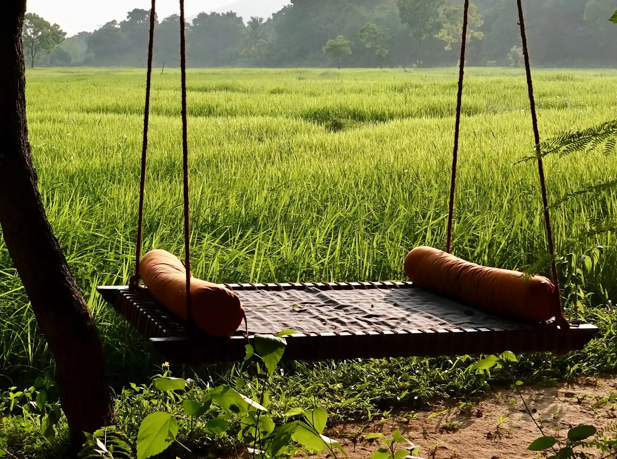 Ulpotha Yoga & Ayurveda Retreat