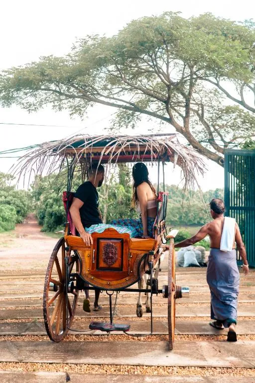 Traditional Village Cart Ride